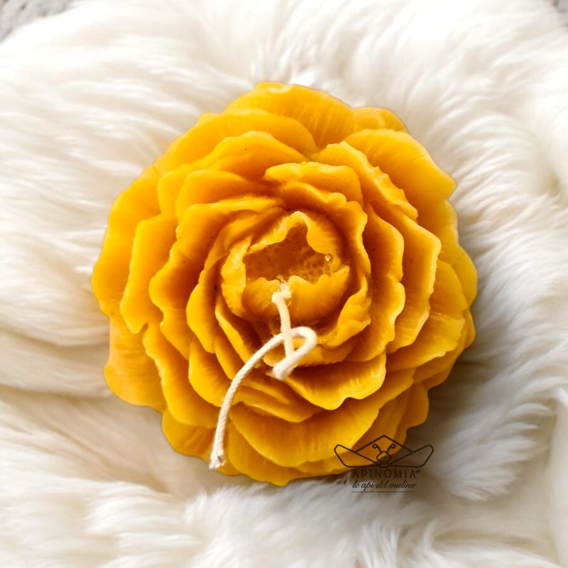 Candele cera d'api Apinomia Camelia 01 