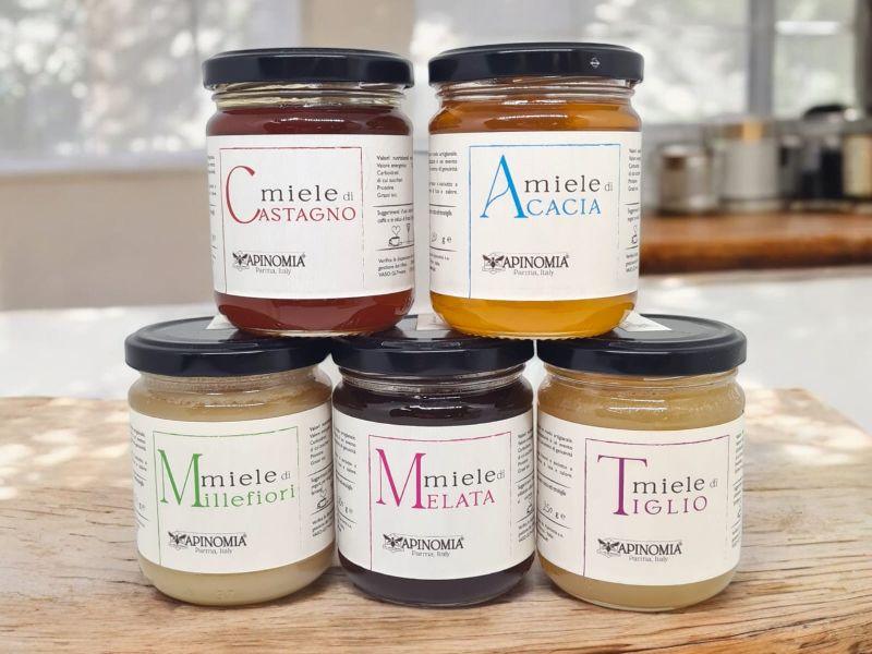 Il mondo di apinomia ape mellifera 01