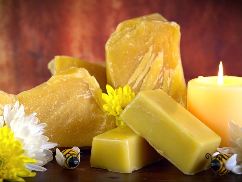 Cera d'api Apinomia 02