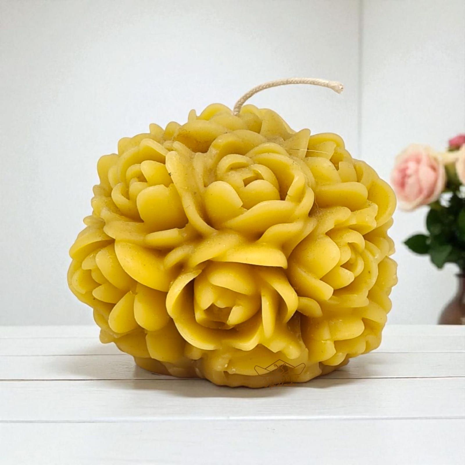 Apinomia alveari e arnie home page 02