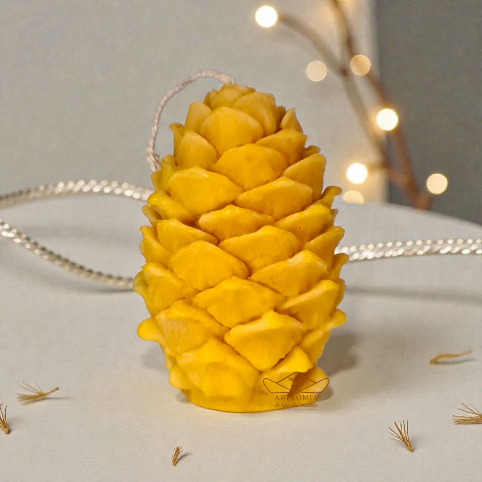 Cofanetto PIGNA - immagine 3